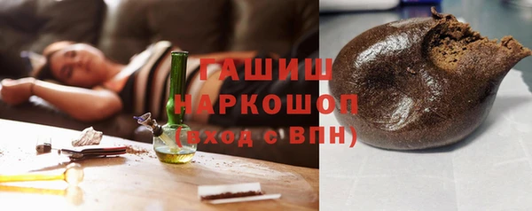 прущие грибы Горно-Алтайск